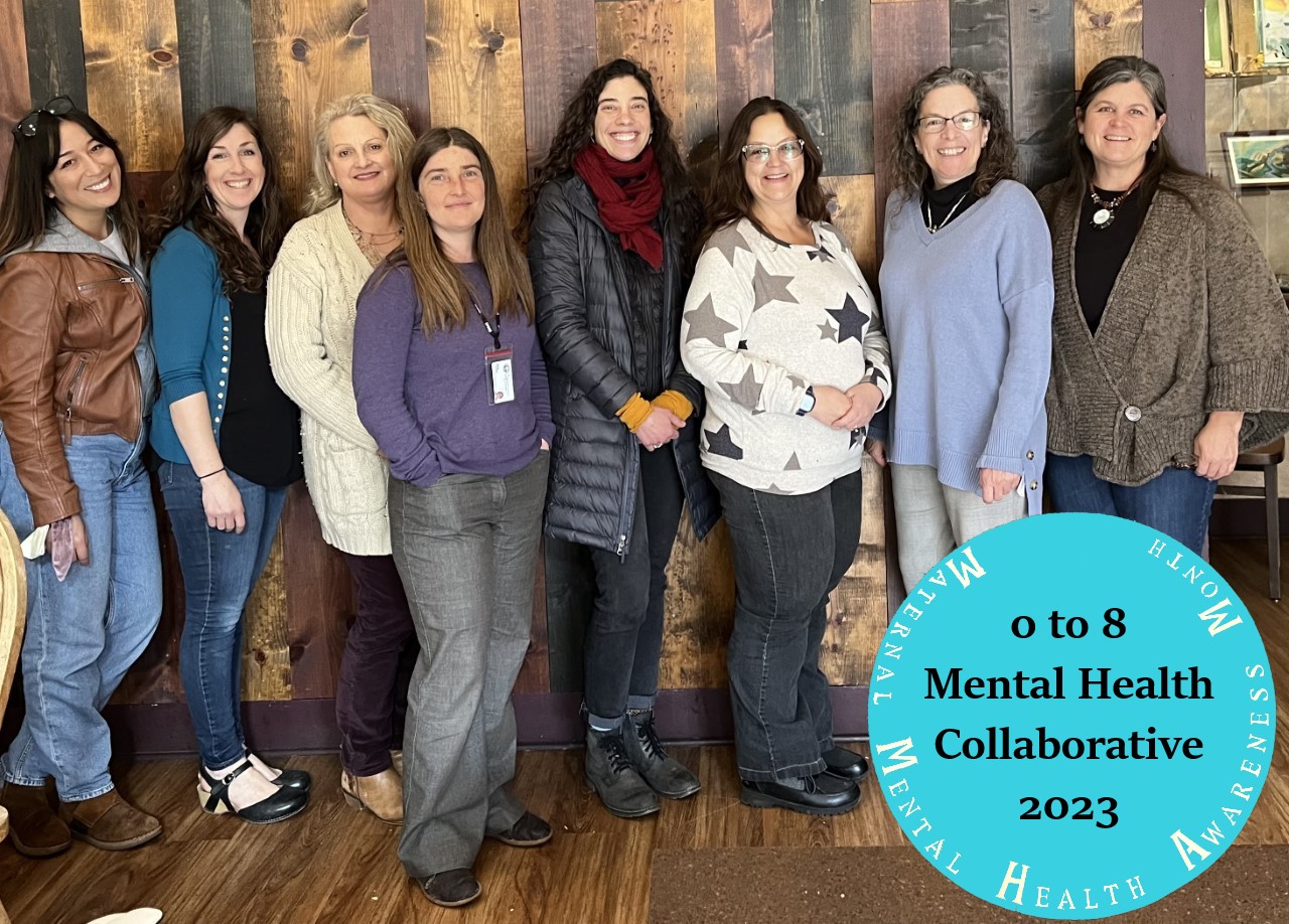 0 to 8 Mental Health Collaborative Leadership Team with DOT (1)